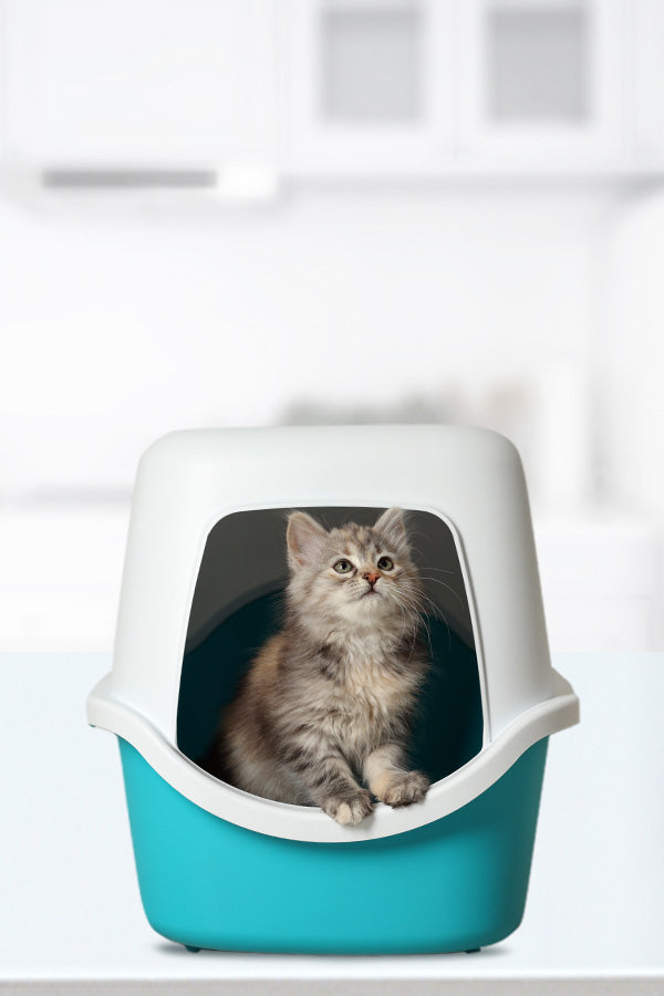 ID Air System Second Mobile Hero Banner  - Menu_Collection_Banners_litter_box_filters_mobile